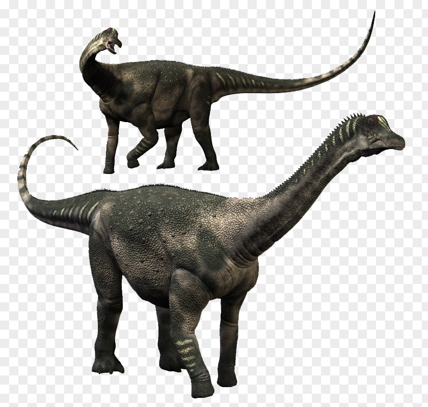 Dinosaur Velociraptor Antarctosaurus King Ampelosaurus Tyrannosaurus PNG
