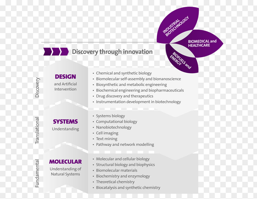 Science Innovation Research Funnel Chart PNG