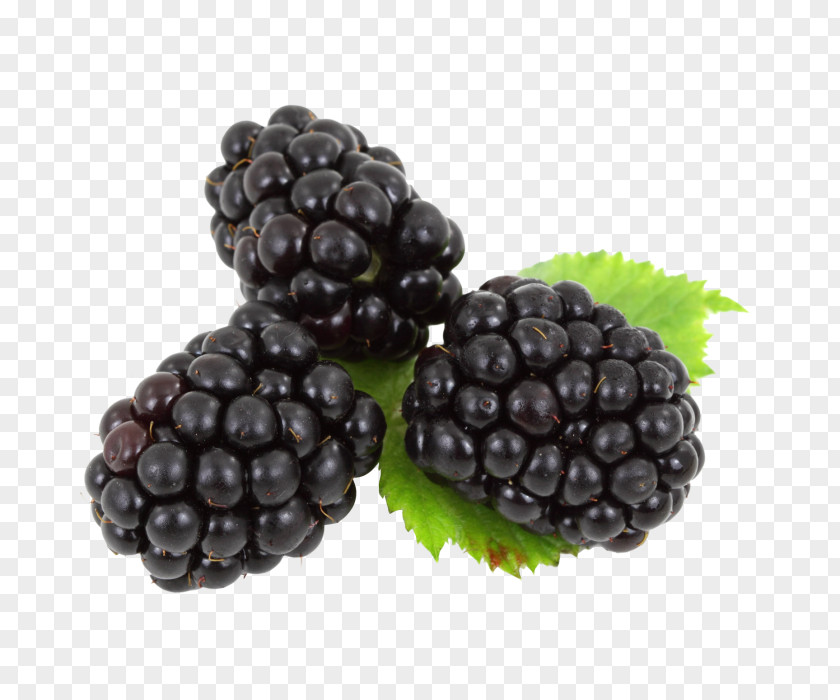 Blackberry BlackBerry Fruit PNG