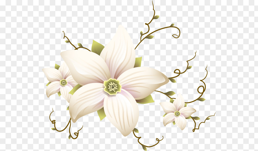 Design Floral Cut Flowers Petal PNG