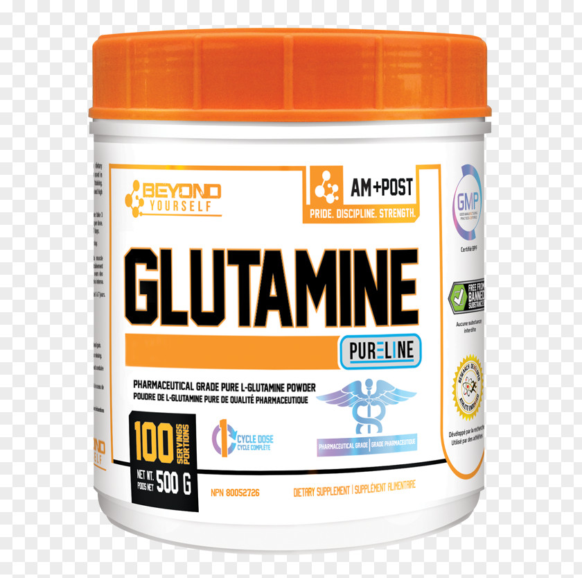 Dietary Supplement Branched-chain Amino Acid Creatine Essential PNG