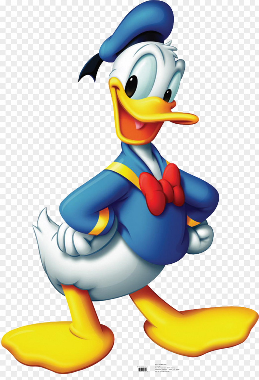 Donald Duck Daisy Mickey Mouse PNG