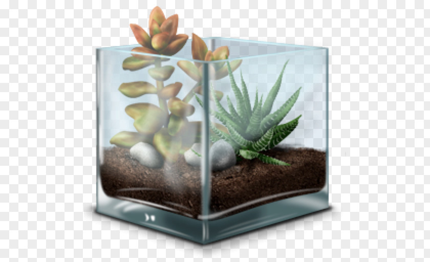 Terrarium Download PNG