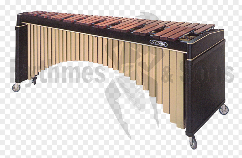 Xylophone Metallophone Marimba こおろぎ社 Octave PNG