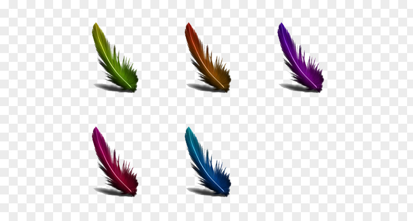 FAether Feather Purple PNG