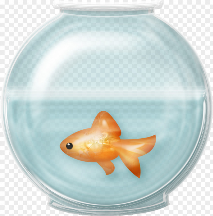 Fish Goldfish Aquarium Clip Art PNG