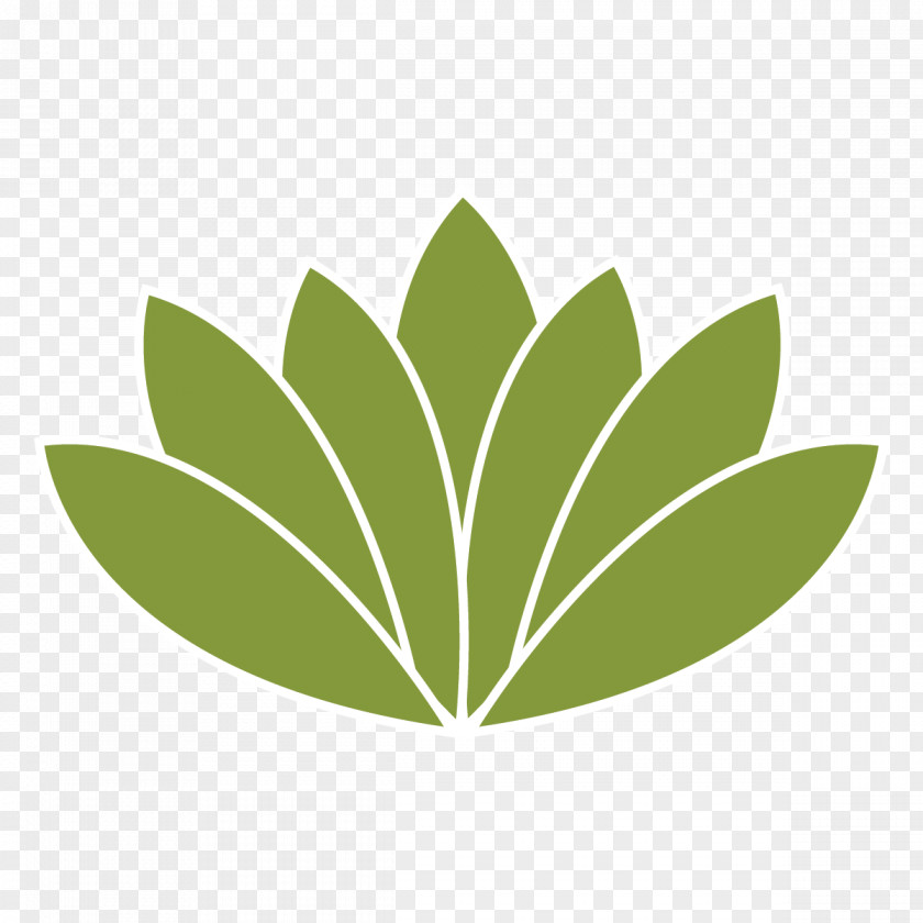 Flower Tree Leaf Green Plant Logo PNG