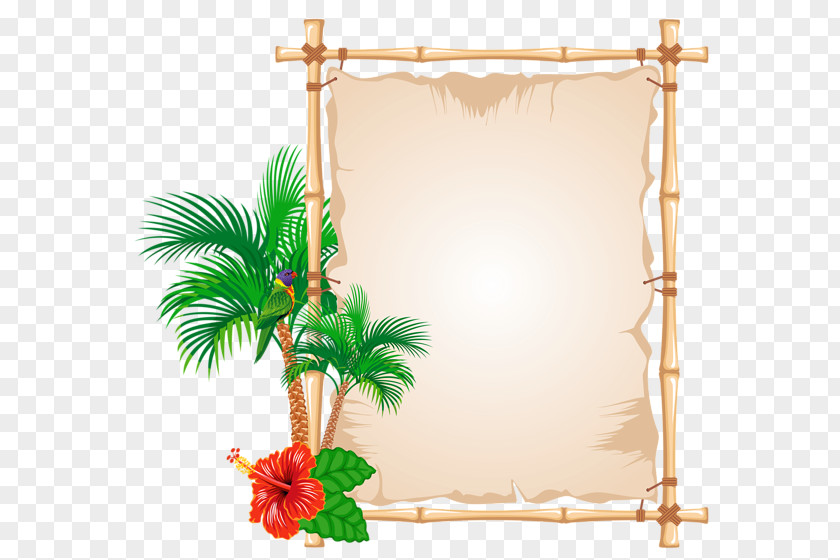 Summer Picture Frames Bamboo Clip Art PNG