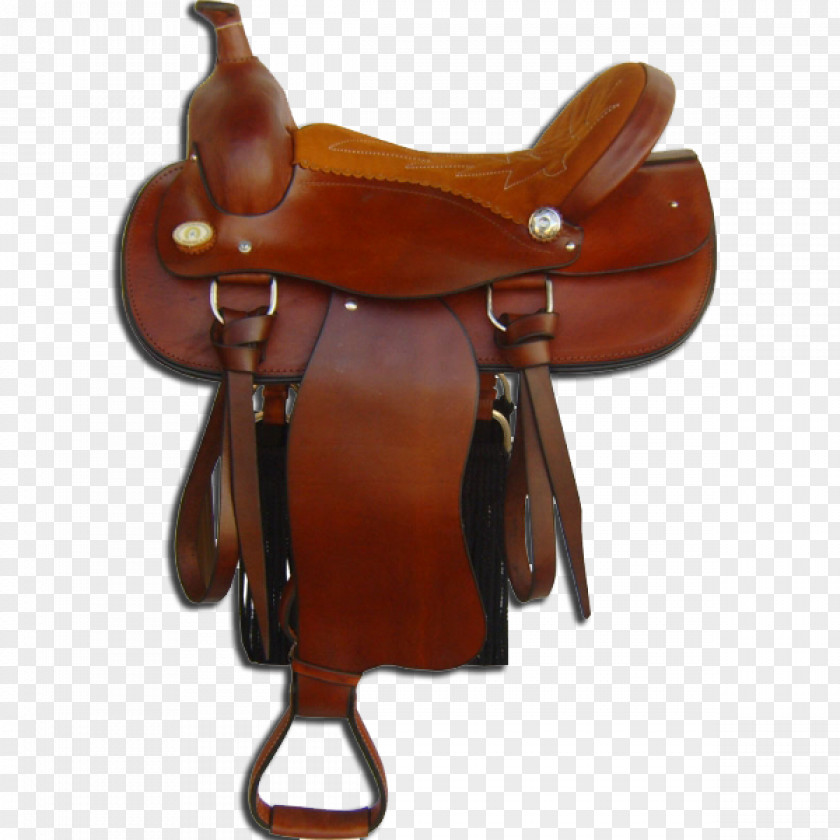 Americana Saddle Horse Harnesses Rein Dressage PNG