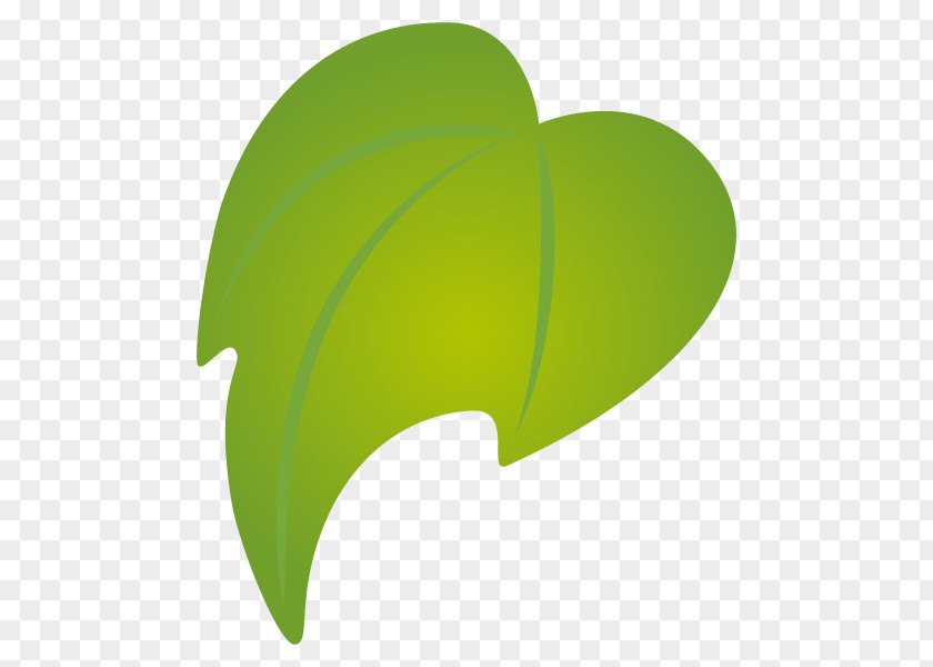 Leaf Vector Graphics Symbol Clip Art PNG