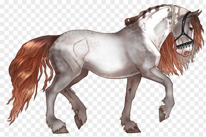 Mustang Friesian Horse Mane Pony Stallion PNG