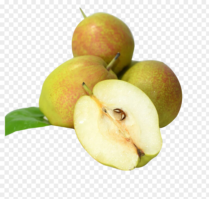 Pear Pyrus Nivalis European Xiangli Wholesale Food PNG
