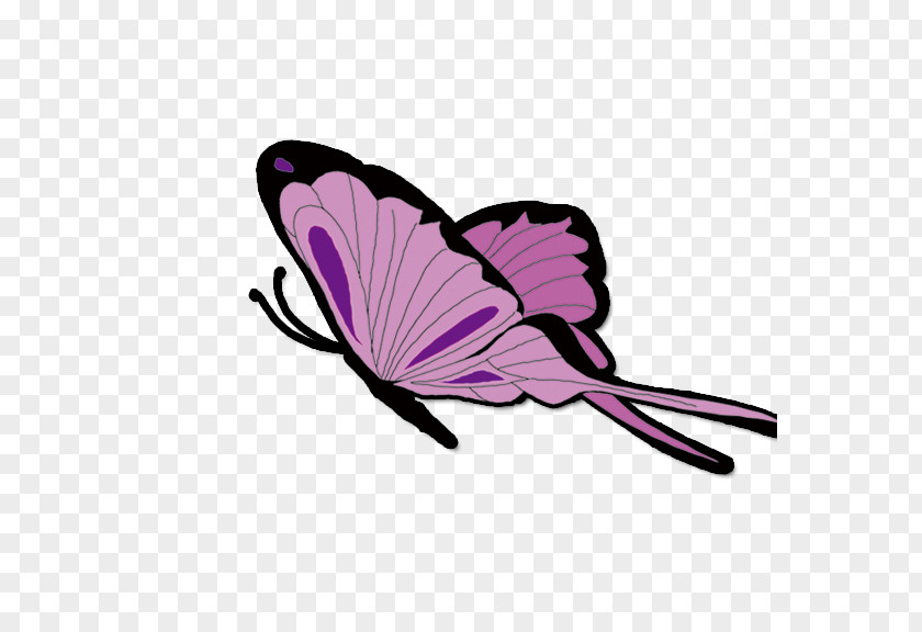 Pink Butterfly Monarch Computer File PNG
