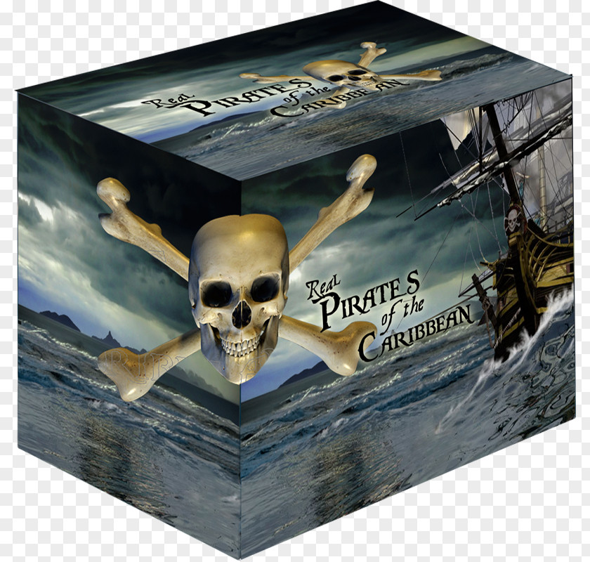 Pirates Of The Caribbean Silver Coin Piracy PNG