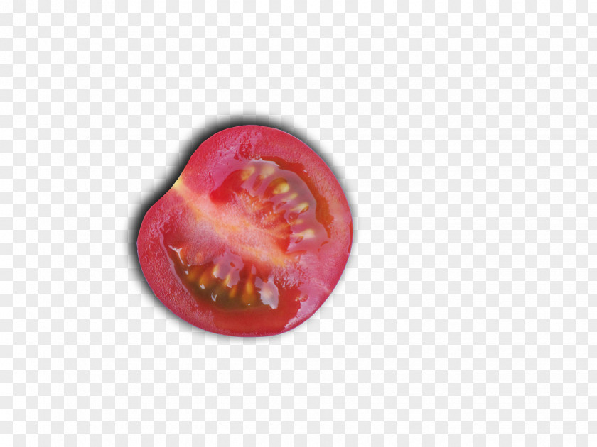 Tomato Vegetable PNG