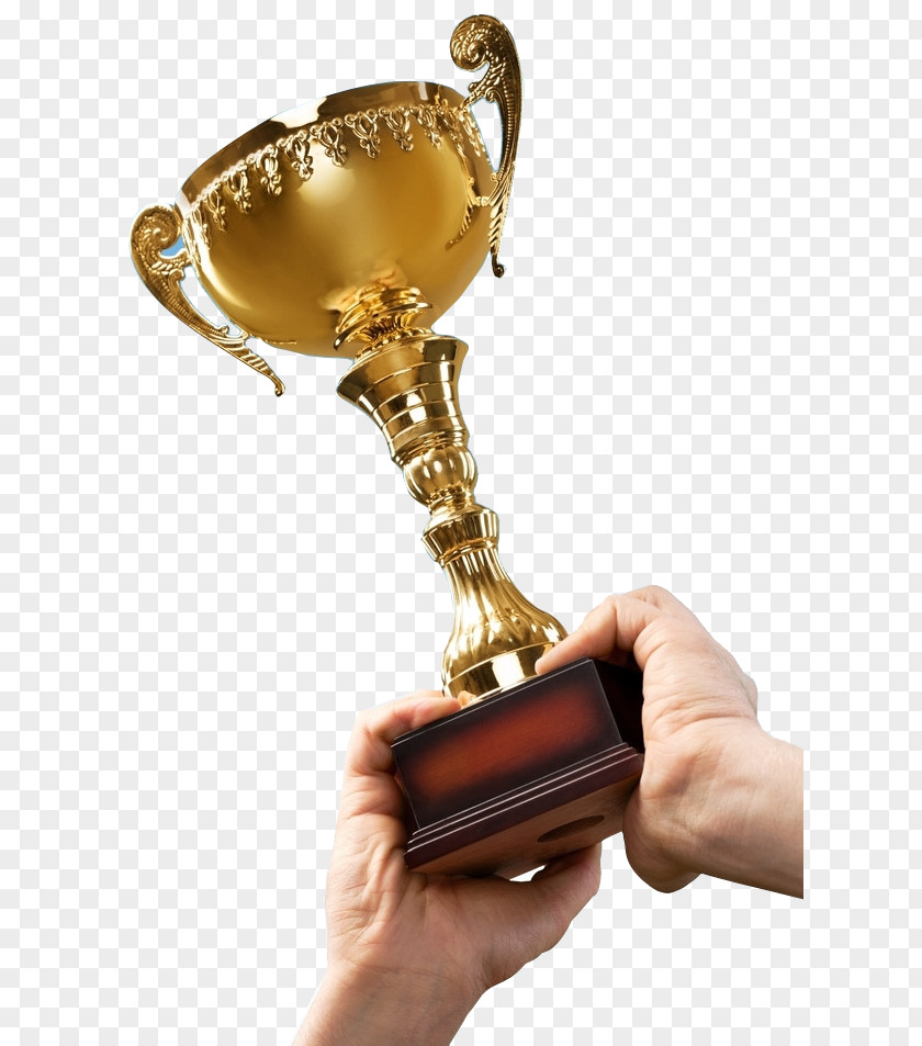 Trophy Gold Cup Award Medal Stock Photography Shutterstock PNG