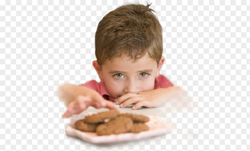 Biscuit Eating Oatmeal Cookie Biscuits Cuisine PNG