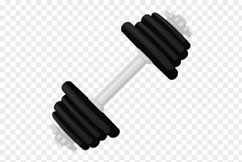 Dumbbell Physical Fitness Personal Trainer PNG