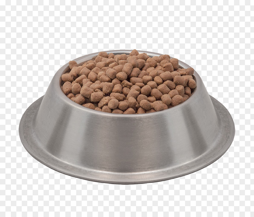 Elevated Cat Dish Food Dog Ferret PNG