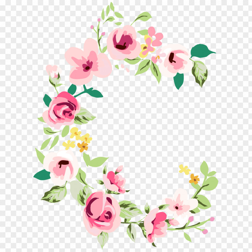 English Rose Vector Graphics Illustration Image Design Flower PNG