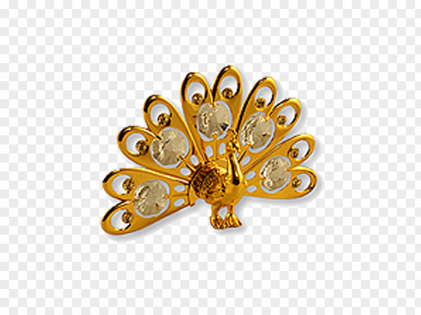 Golden Peacock Peafowl Icon PNG