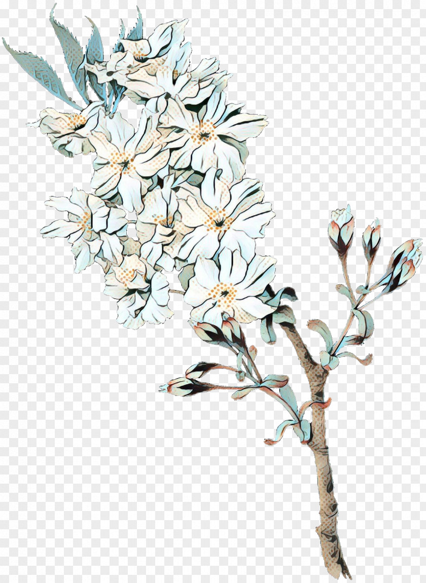 Ixia Magnolia Family Tree Background PNG