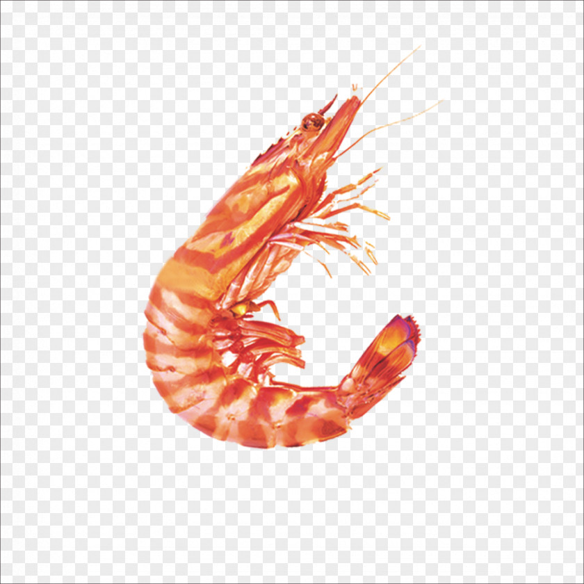 Shrimp Seafood Caridea Crab PNG