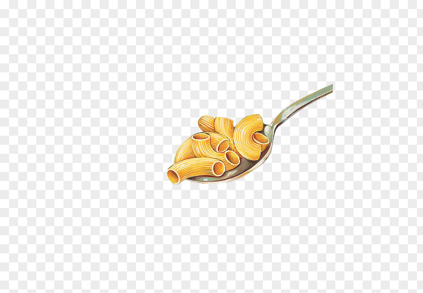 A Spoonful Of Pasta Macaroni PNG