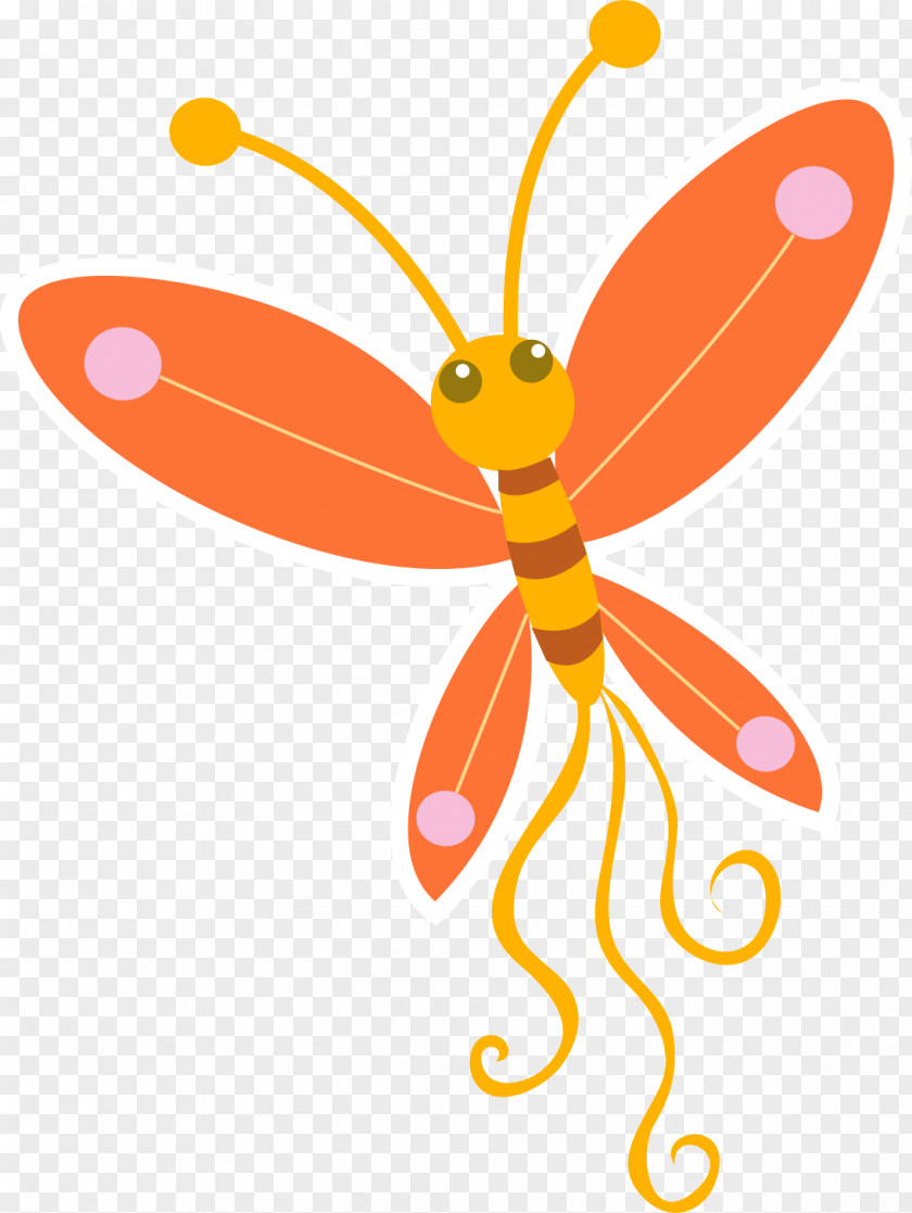 Baby Parrot Insect Vector Graphics Butterfly Image PNG