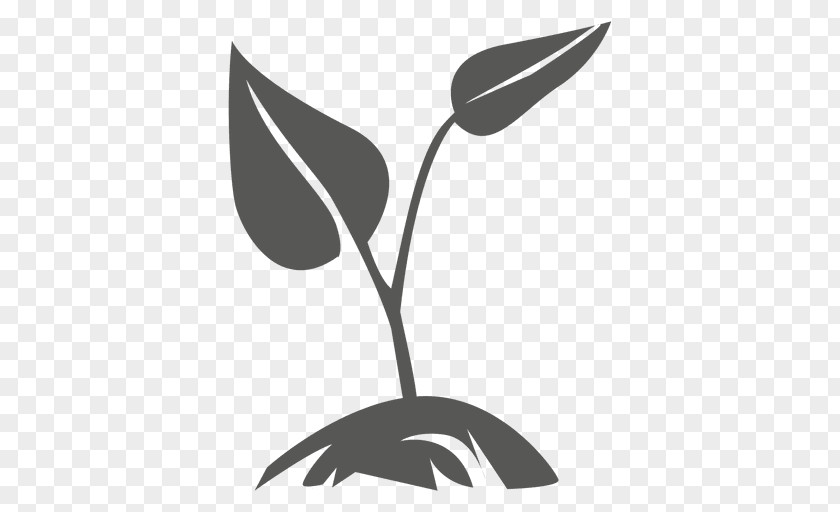 Grows Plant PNG