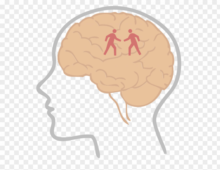Physical Activity Brain Insight Neurochemistry Learning Thumb PNG