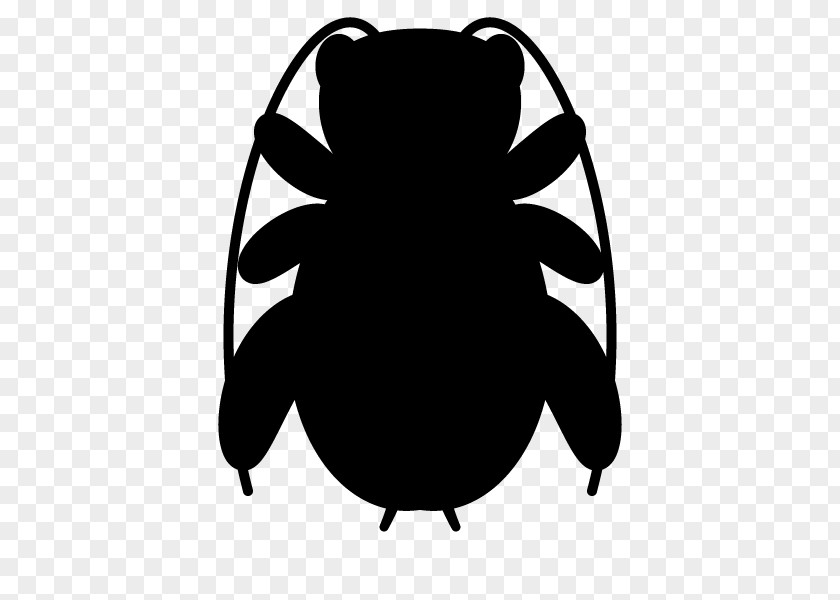 Insect Silhouette Black Pollinator Clip Art PNG