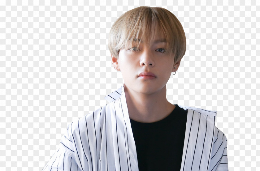 Kim Taehyung BTS Hwarang: The Poet Warrior Youth Singer Musician PNG Musician, others clipart PNG