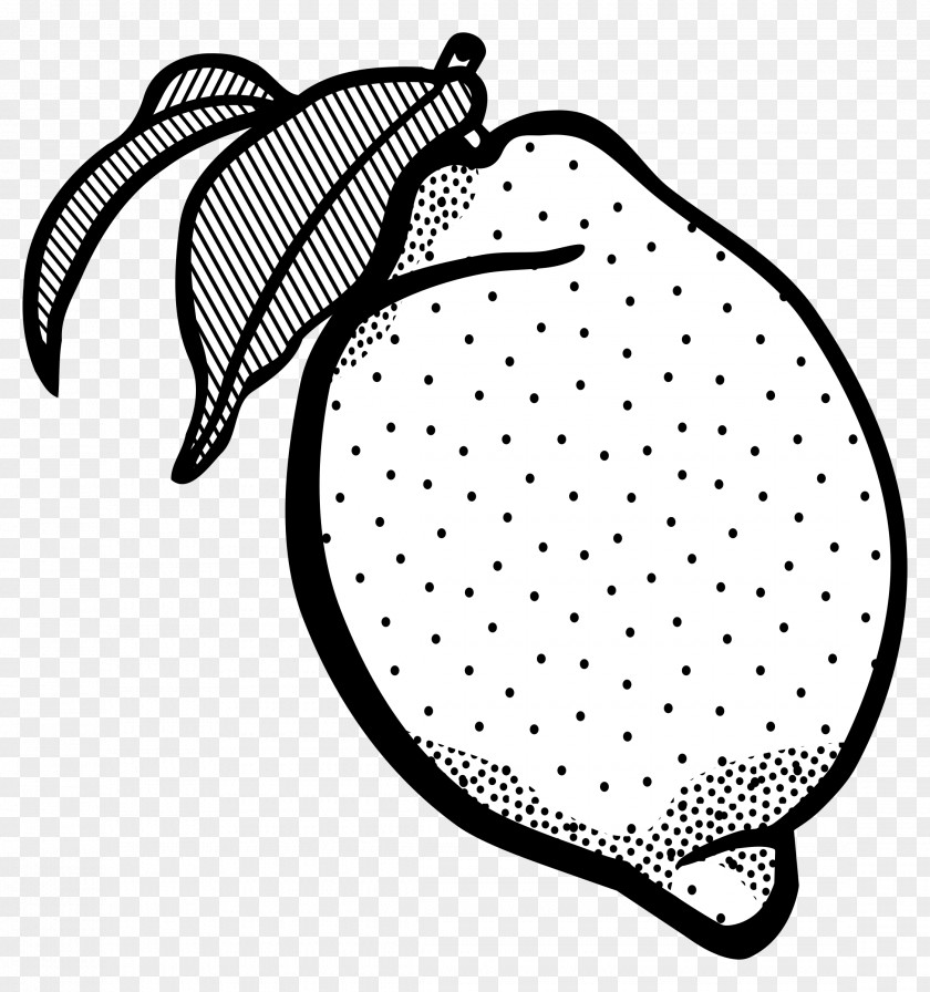 Lemon Outline Cliparts Cheesecake Line Art Black And White Clip PNG