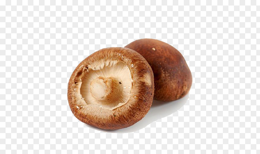 Organic Mushrooms Shiitake Malatang Mushroom Lenthionine PNG