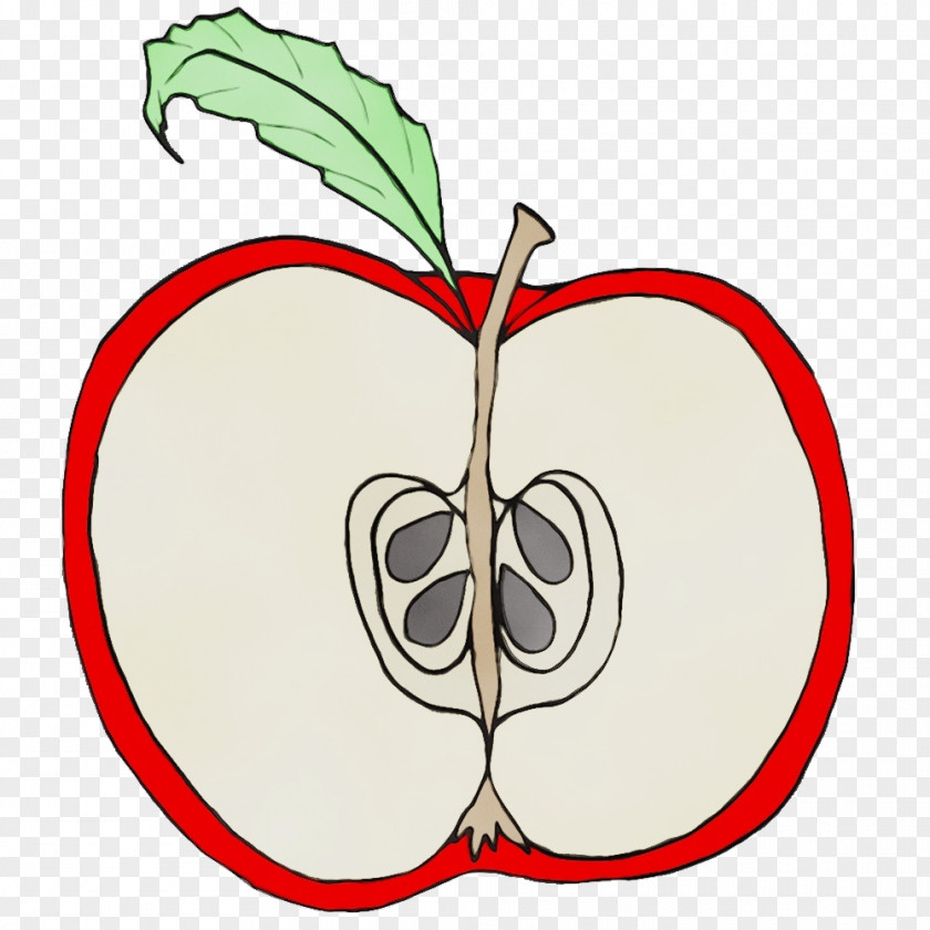 Plant Stem Tree Leaf Clip Art Apple Fruit PNG