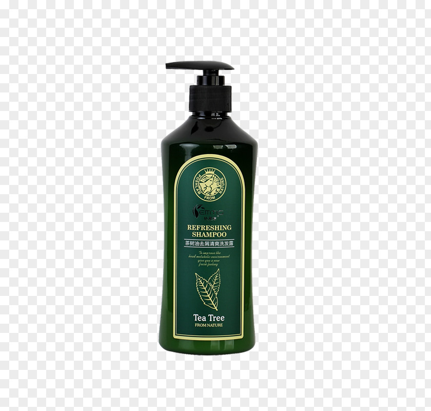Shampoo Elastin Products In Kind Lotion Hair Conditioner Care PNG