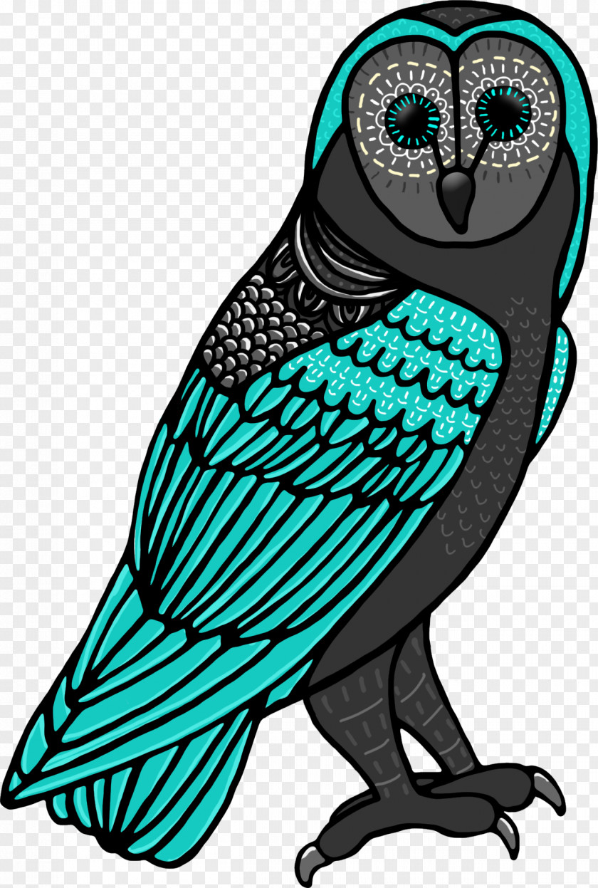 Barn Owl Bird Of Prey Teacher Background PNG