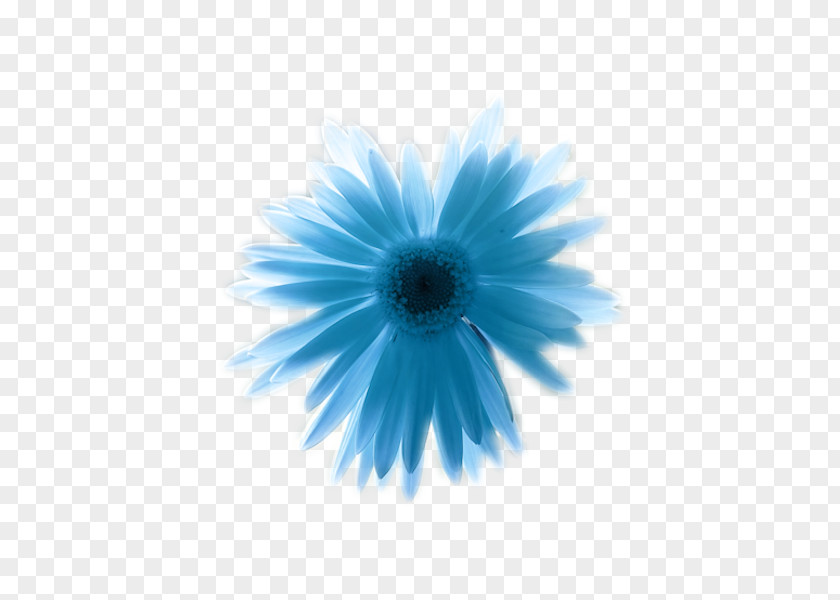 Blue Primary Color Paper Flower PNG