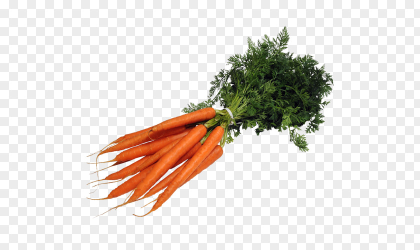 Carrot Baby Mirepoix Leaf Vegetable Superfood PNG