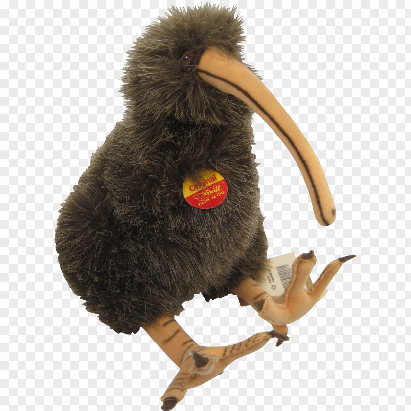 Kiwi Bird Beak Fur Animal PNG