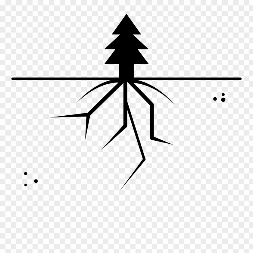 Node Structure Coloring Book Drawing Tree Ausmalbild Root PNG