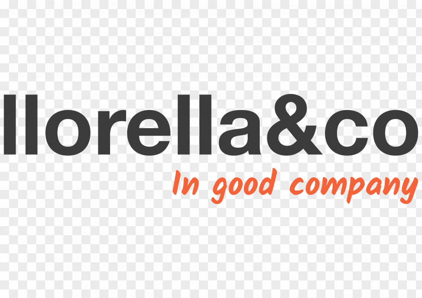 Business Organization Nissan Digital Marketing Llorella&co PNG