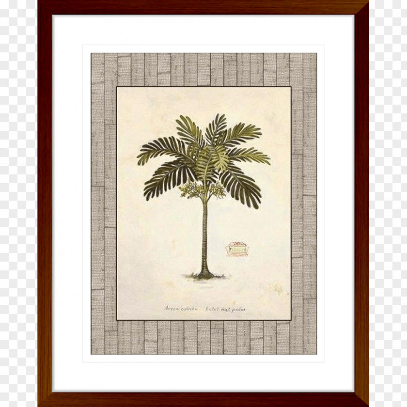 Cat Palm Poster Art Deco Artist Picture Frames PNG