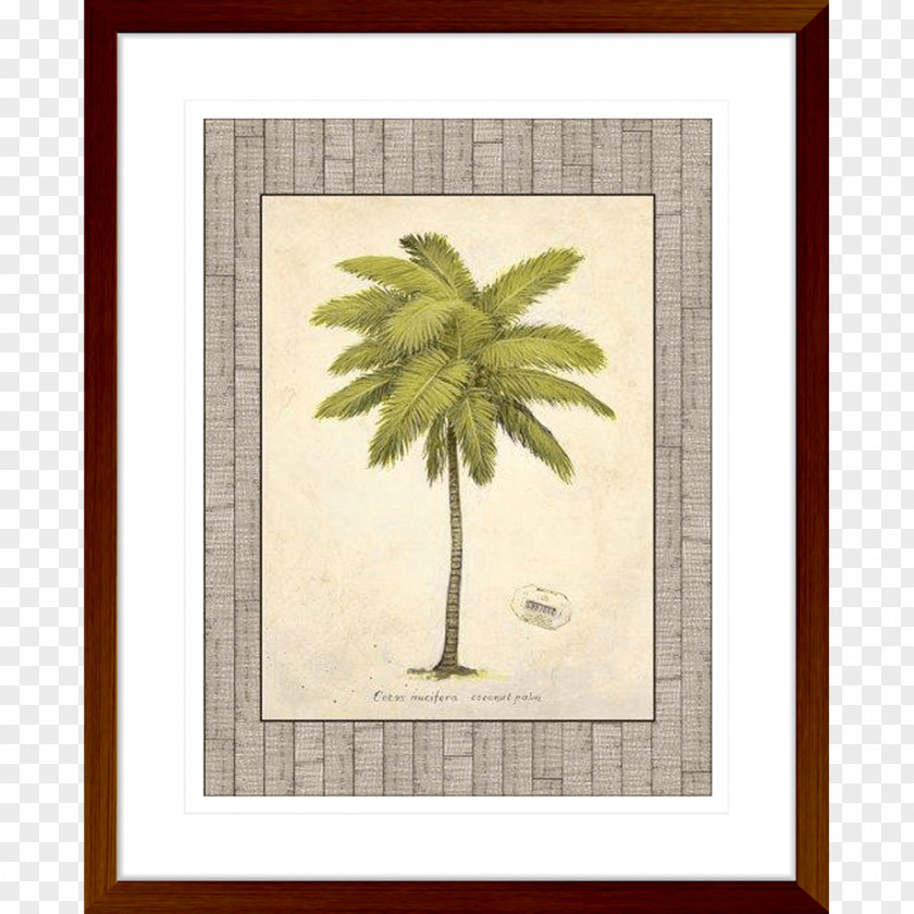 Coconut Art Tree Arecaceae PNG