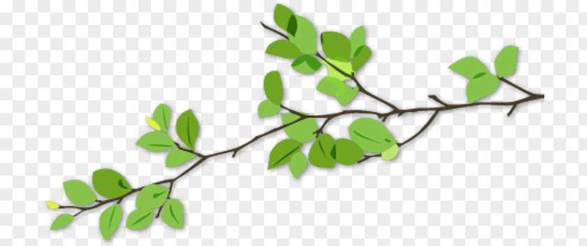 Dalì Twig Branch Tree Leaf Garden PNG