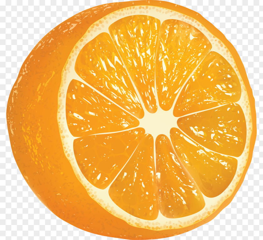 Lemon Orange Zest Juice Clip Art Vector Graphics PNG