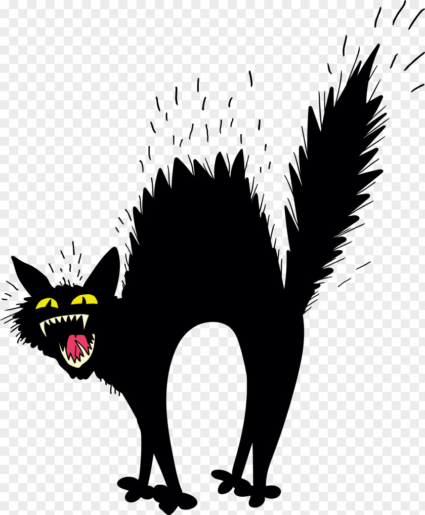 Scary Black Cat PNG