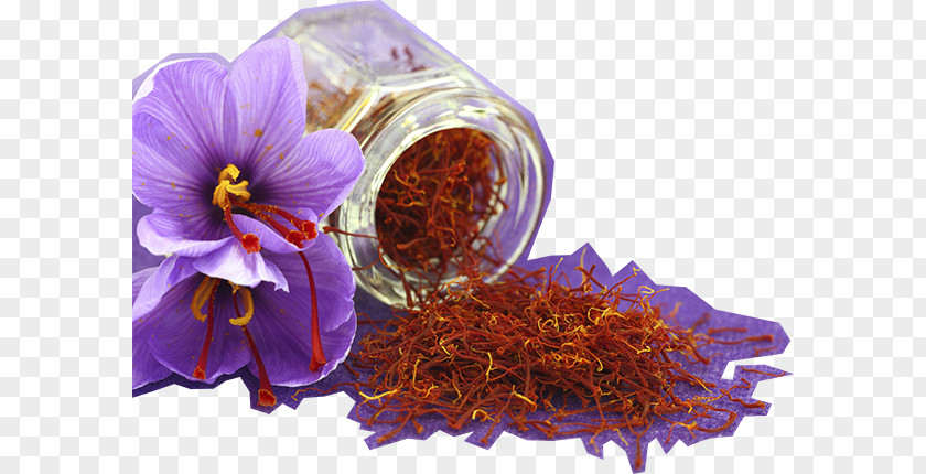 Chinese Herb Saffron Autumn Crocus Flower Spice Golden Milk PNG