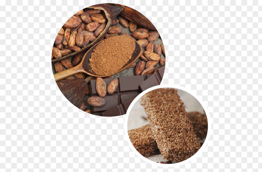 Cocoa Beans Bean Theobroma Cacao Chocolate Solids Health PNG